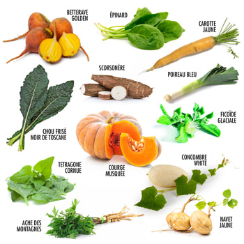 Assortiment graines légumes essentiels pour le potager Kit de graines de légumes prêt à pousser OwnGrown 10 légumes incontournables à planter en un set pratique 