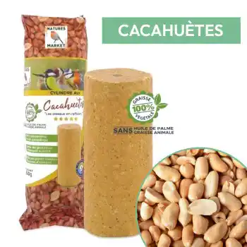 Cylindre de graisse pour oiseaux aux cacahuètes Cylindre de graisse pour oiseaux aux cacahuètes