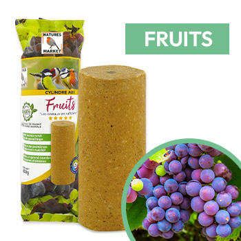 Cylindre de graisse pour oiseaux aux fruits