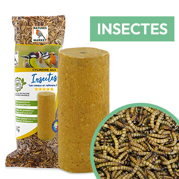 Cylindre de graisse pour oiseaux aux insectes