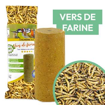 Cylindre de graisse pour oiseaux aux vers de farine