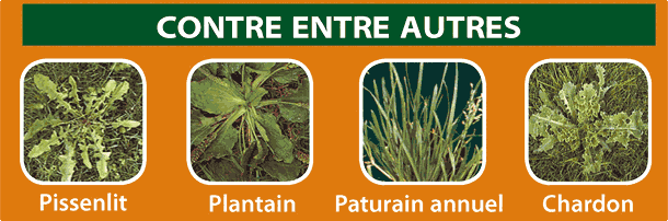 desherbant écologique desherbant écologique
