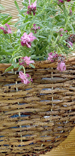 Suspension florale dans une corbeille en bois de vigne