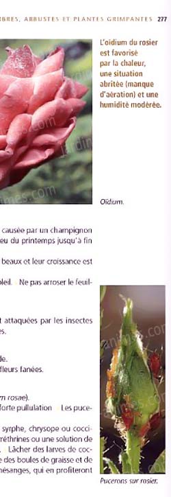 Ouvrage donnant les explications et bonnes recettes pour lutter contre les ravageurs du jardin. Ouvrage donnant les explications et bonnes recettes pour lutter contre les ravageurs du jardin.