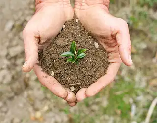 Nos engagements pour la Planète