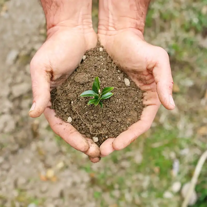 Nos engagements pour la Planète