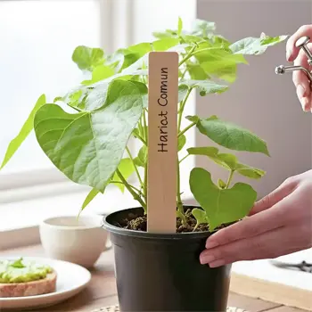 Etiquette jardinage marque plantes en bois
