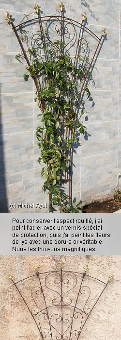 Décor de jardin , support pour plantes grimpantes, verni et repeint Décor de jardin , support pour plantes grimpantes, verni et repeint