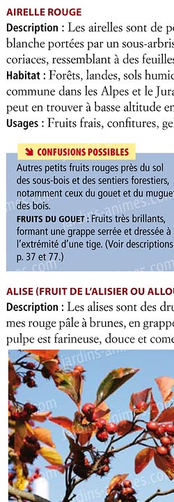 Livre pour cueillir fruits et champignons sans se tromper. Livre pour cueillir fruits et champignons sans se tromper.