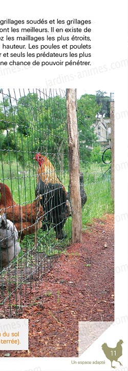Elever des poules pour leurs oeufs ou pour leur chair. Livre pour résussir son élevage de poules bio Elever des poules pour leurs oeufs ou pour leur chair. Livre pour résussir son élevage de poules bio