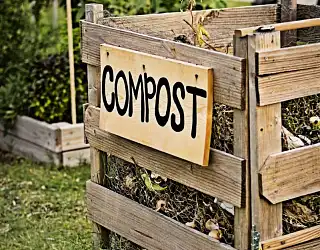 Le compost : mode d'emploi de cet engrais fait-maison
