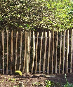 Ganivelle en chataigner pour cloturer un coin potager ou jardin Ganivelle en chataigner pour cloturer un coin potager ou jardin