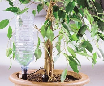 Goutte à goutte individuel avec bouteille en plastique pour plante d'intérieur