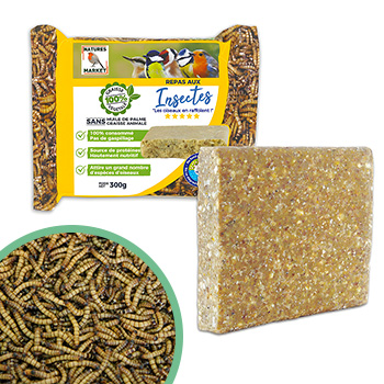 Graisse pour oiseaux aux insectes