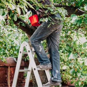 Comment choisir une échelle de jardin ? Guide d'achat