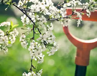 Informations Covid-19