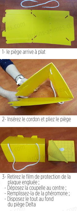 Pour un traitement bio, il vous faut un piège, des plaques engluées et une phéromone specifique Pour un traitement bio, il vous faut un piège, des plaques engluées et une phéromone specifique