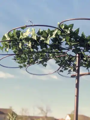 tuteur tr&egrave;s r&eacute;sistant pour vos glycines