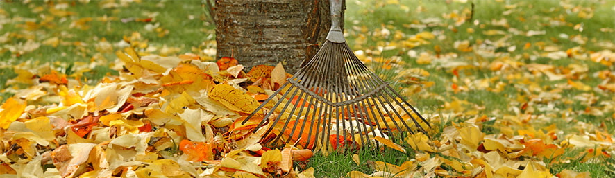 Prenez soin de votre jardin cet automne