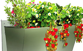 Jardin vertical, mur vegetal, potager mural Jardin vertical, mur vegetal, potager mural