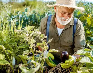Le jardinage sans douleur, nos conseils et solutions seniors