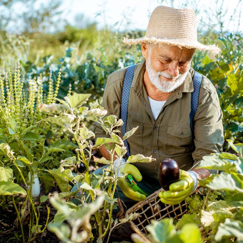 Le jardinage sans douleur, nos conseils et solutions seniors