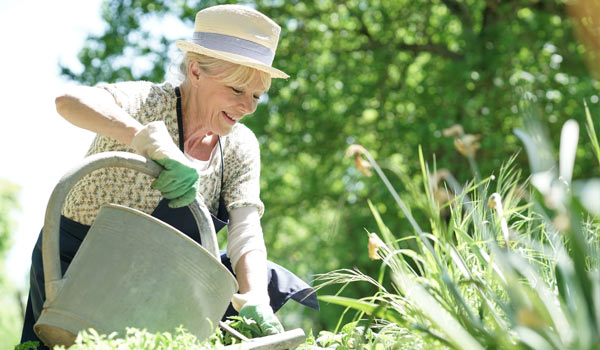 Jardinage thérapeutique pour les personnes âgées