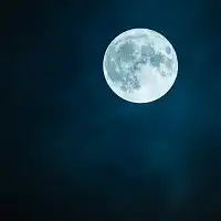 Pourquoi et comment jardiner avec la lune ?