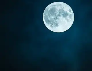 Pourquoi et comment jardiner avec la lune ?