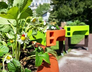 Jardinière sur pieds avec roulettes Jardinière sur pieds avec roulettes