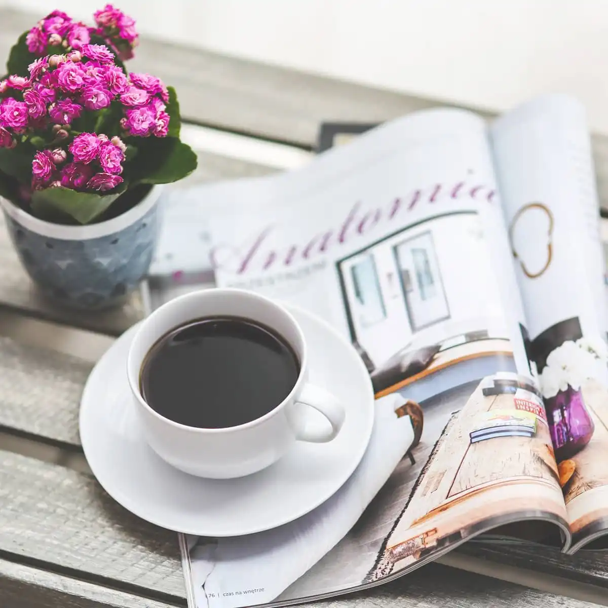 Revue de presse Jardin déco