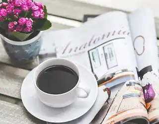 Revue de presse Jardin déco