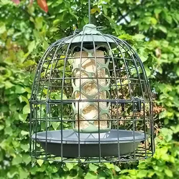 Mangeoire anti étourneaux Mangeoire anti étourneaux