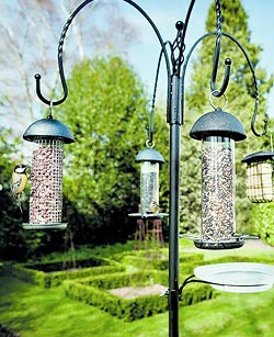 nourrir les oiseaux leur permet de passer l'hiver sans dommages nourrir les oiseaux leur permet de passer l'hiver sans dommages