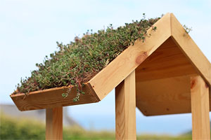 Mangeoire pour oiseaux en bois avec toit végétal