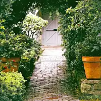 Entretien des extérieurs : bien nettoyer la terrasse et démousser les dalles