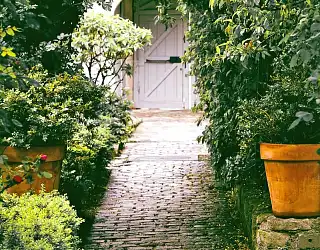 Entretien des extérieurs : bien nettoyer la terrasse et démousser les dalles