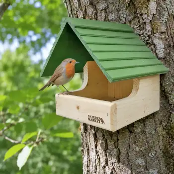 Nid en bois pour rouge gorge