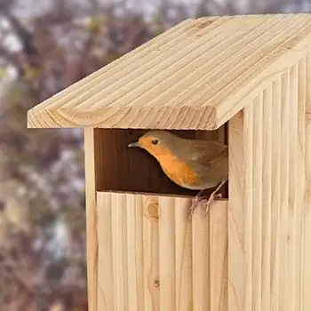 Nichoir ouvert pour rouge gorge