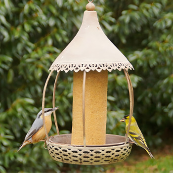 Oiseaux sur mangeoire Carrousel