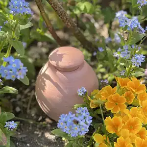 Arroser son jardin grâce aux Ollas