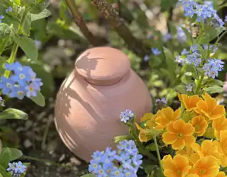 Arroser son jardin grâce aux Ollas