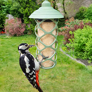 Mangeoire La Pause Gourmande oiseau suspendue pour cylindre et boules de graisse Mangeoire La Pause Gourmande oiseau suspendue pour cylindre et boules de graisse