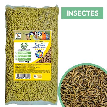 Pépites de graisse pour oiseaux aux insectes