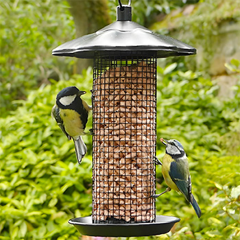 Mangeoire grillagée pour pépites