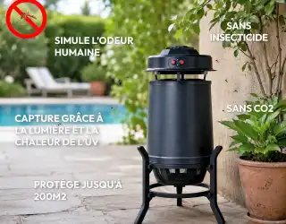 Piège à moustiques terrasse et jardin 200m2