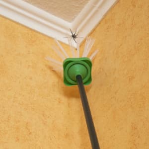 Attraper les araignées au plafond avec la pince à insectes