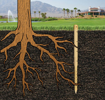 Tube creux à enterrer pour arroser plantes et aux arbres au niveau des racines