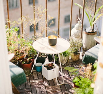 Protéger les plantes du froid sur un balcon