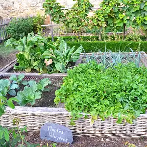 La permaculture : comment ça marche ?